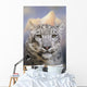 Snow Leopard Mountain Wall Decal