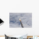 Final Launch Space Shuttle Wall Decal Design 2