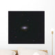 Black Eye Galaxy Wall Decal