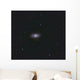 Black Eye Galaxy Wall Decal