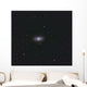 Black Eye Galaxy Wall Decal