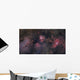 Panorama near Sagittarius Region Wall Decal