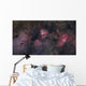 Panorama near Sagittarius Region Wall Decal