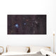 Iris Nebula Cepheus Wall Decal