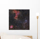 Beautiful Nebulae Gemini Constellation Wall Decal