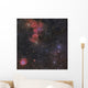 Beautiful Nebulae Gemini Constellation Wall Decal
