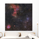 Beautiful Nebulae Gemini Constellation Wall Decal