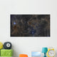 Iris Nebula and Surrounding Wall Decal
