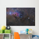 Nebulosity Taurus Constellation Wall Decal