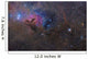 Nebulosity Taurus Constellation Wall Decal