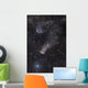 Question Mark Nebula Orion Wall Decal