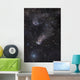 Question Mark Nebula Orion Wall Decal