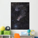 Question Mark Nebula Orion Wall Decal
