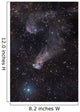 Question Mark Nebula Orion Wall Decal