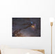Rho Ophiuchus Area Sagittarius Wall Decal