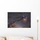 Rho Ophiuchus Area Sagittarius Wall Decal