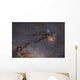Rho Ophiuchus Area Sagittarius Wall Decal
