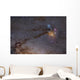 Rho Ophiuchus Area Sagittarius Wall Decal