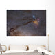 Rho Ophiuchus Area Sagittarius Wall Decal