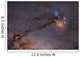 Rho Ophiuchus Area Sagittarius Wall Decal