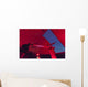 Astronomer Makes Observations through Wall Decal
