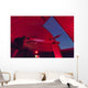 Astronomer Makes Observations through Wall Decal