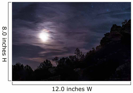 Bright Moon Rises through Wall Decal