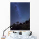 Milky Way Rises over Wall Decal