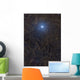 Polaris Surrounded Molecular Clouds Wall Decal