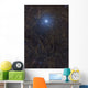 Polaris Surrounded Molecular Clouds Wall Decal
