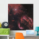 Veil Nebula Constellation Cygnus Wall Decal