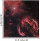 Veil Nebula Constellation Cygnus Wall Decal