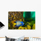 Queen Angelfish off Coast Wall Decal