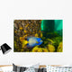 Queen Angelfish off Coast Wall Decal