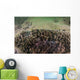 Zebra and Quagga Mussels Wall Decal