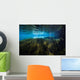 Vegetation Spring Pool Ichetucknee Wall Decal