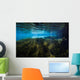 Vegetation Spring Pool Ichetucknee Wall Decal