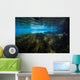 Vegetation Spring Pool Ichetucknee Wall Decal