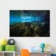 Vegetation Spring Pool Ichetucknee Wall Decal