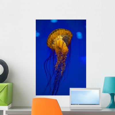 Pacific Sea Nettle Jellyfish Drifting Up Wall Decal shown on a wall