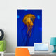 Pacific Sea Nettle Jellyfish Drifting Up Wall Decal