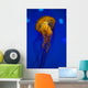Pacific Sea Nettle Jellyfish Drifting Up Wall Decal