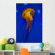 Pacific Sea Nettle Jellyfish Drifting Up Wall Decal