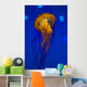 Pacific Sea Nettle Jellyfish Drifting Up Wall Decal