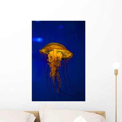 Pacific Sea Nettle Jellyfish Wall Decal shown on a wall