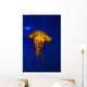 Pacific Sea Nettle Jellyfish Wall Decal