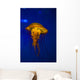 Pacific Sea Nettle Jellyfish Wall Decal
