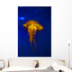 Pacific Sea Nettle Jellyfish Wall Decal