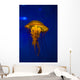 Pacific Sea Nettle Jellyfish Wall Decal