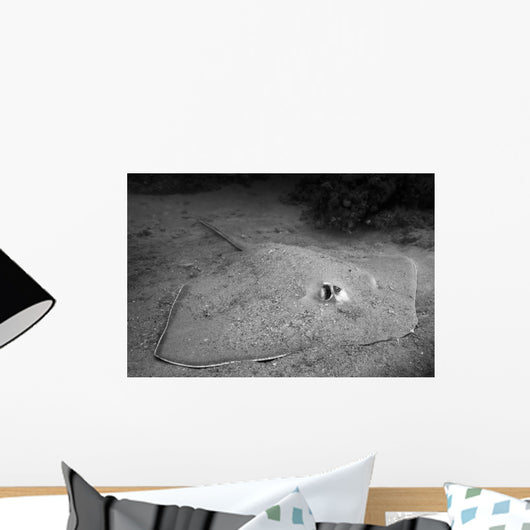 Southern Stingray Waits Bottom Wall Decal